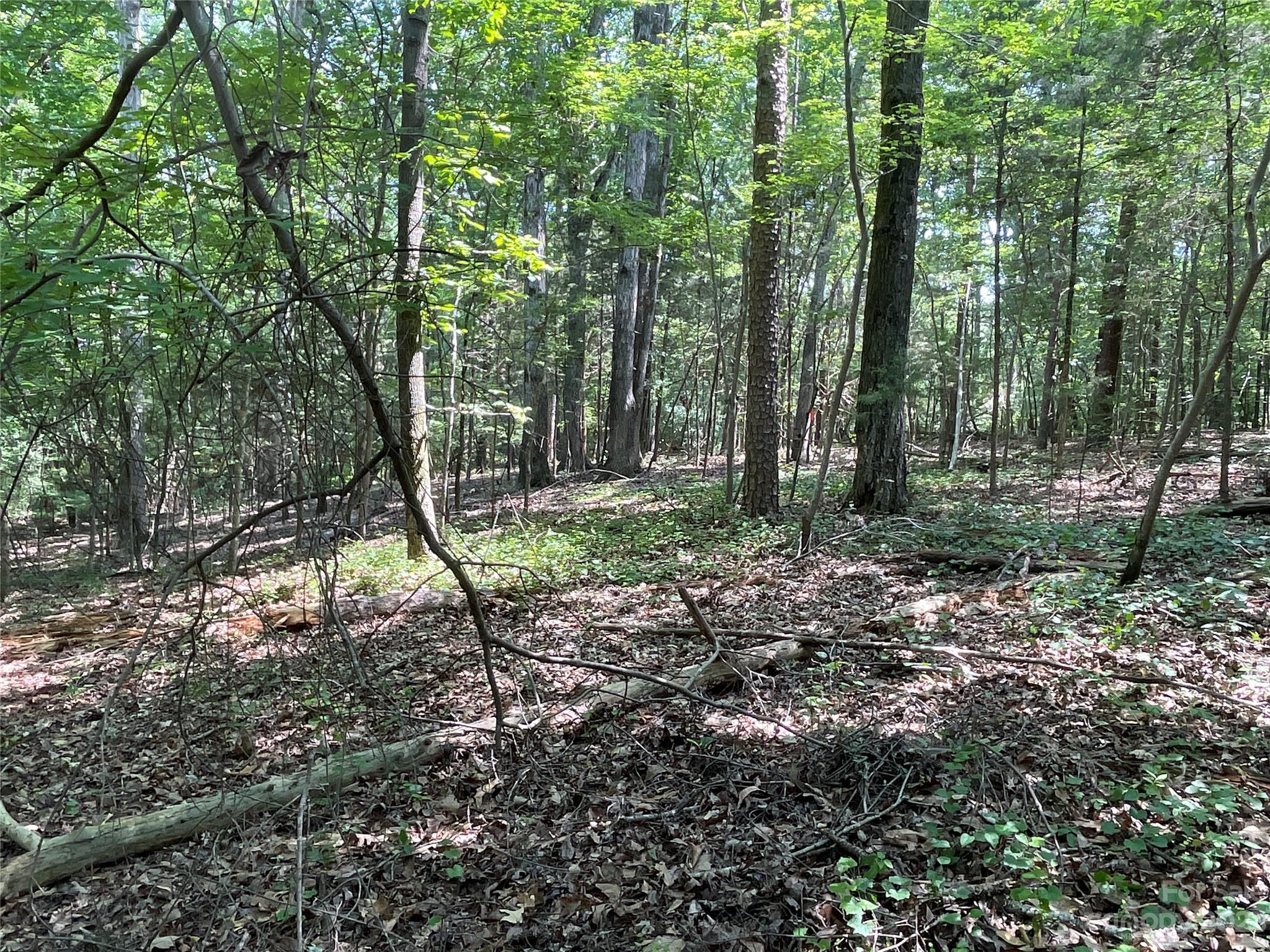 2790 Great Falls Highway Property Photo 13
