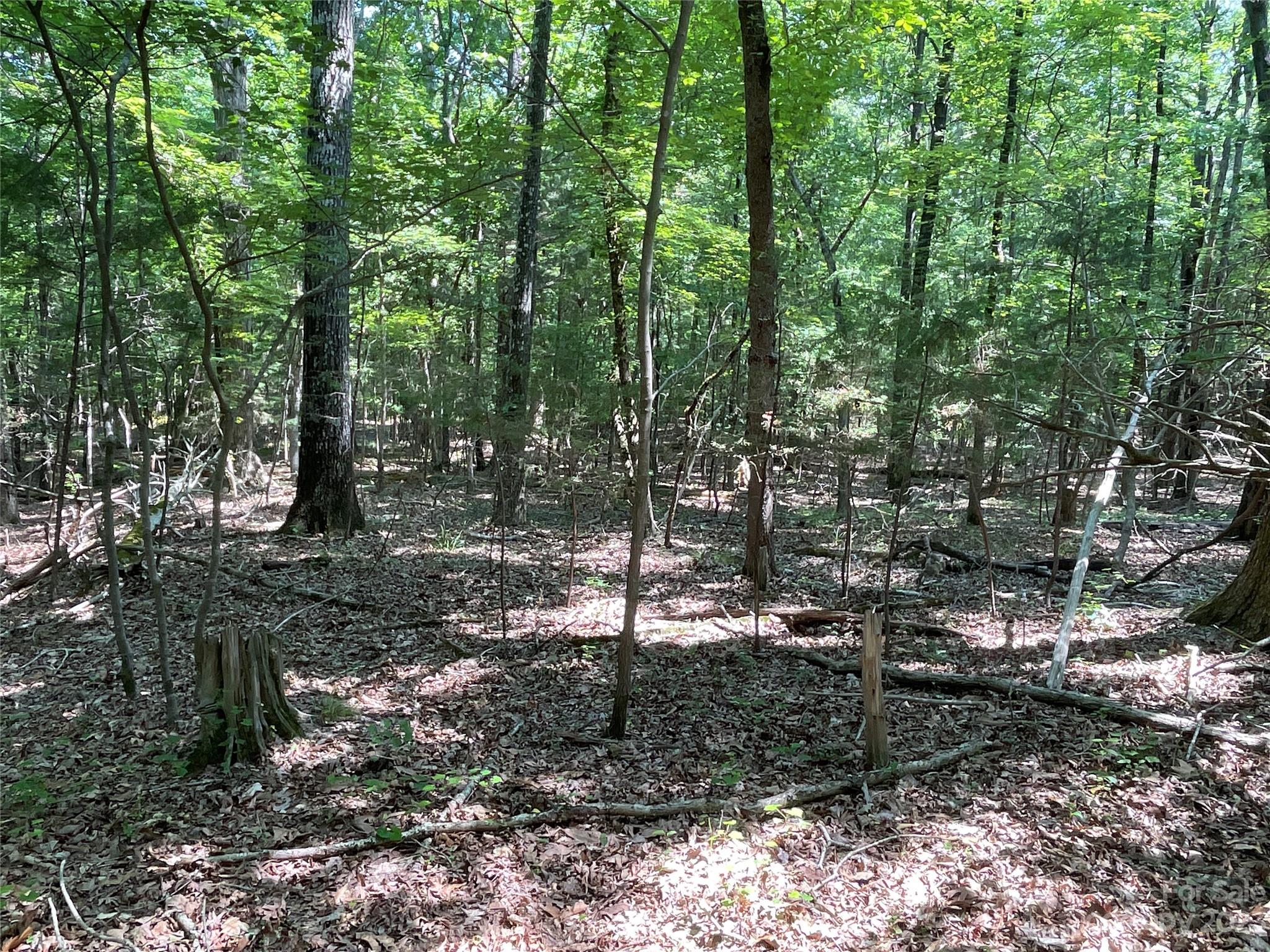 2790 Great Falls Highway Property Photo 14