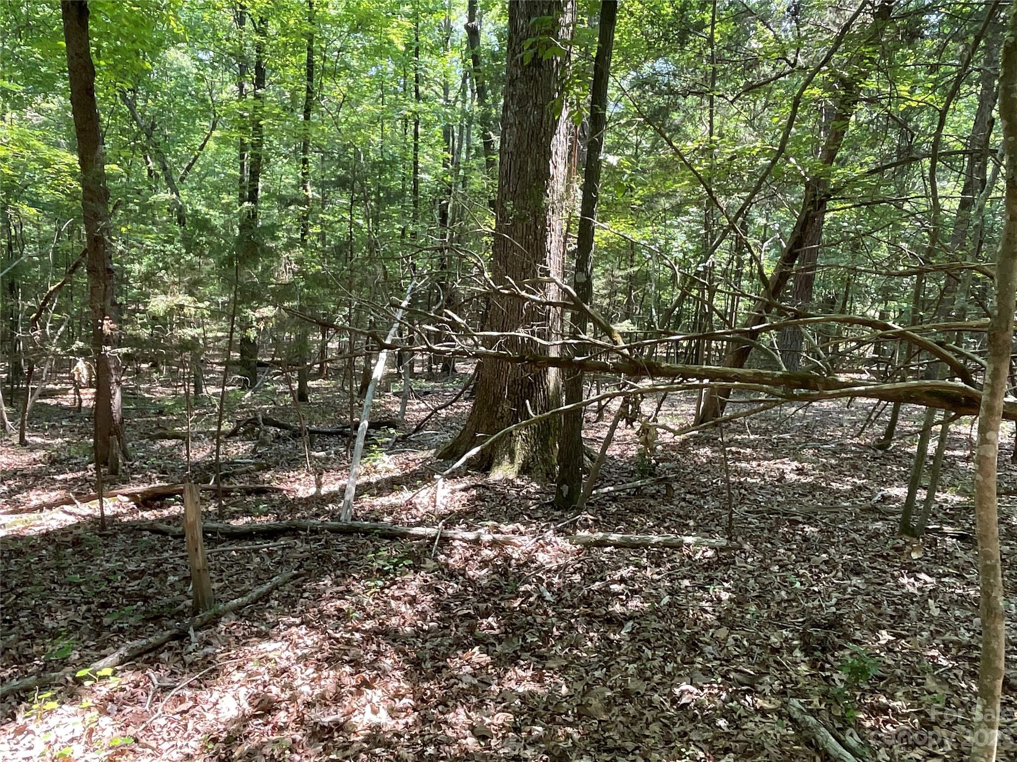 2790 Great Falls Highway Property Photo 15