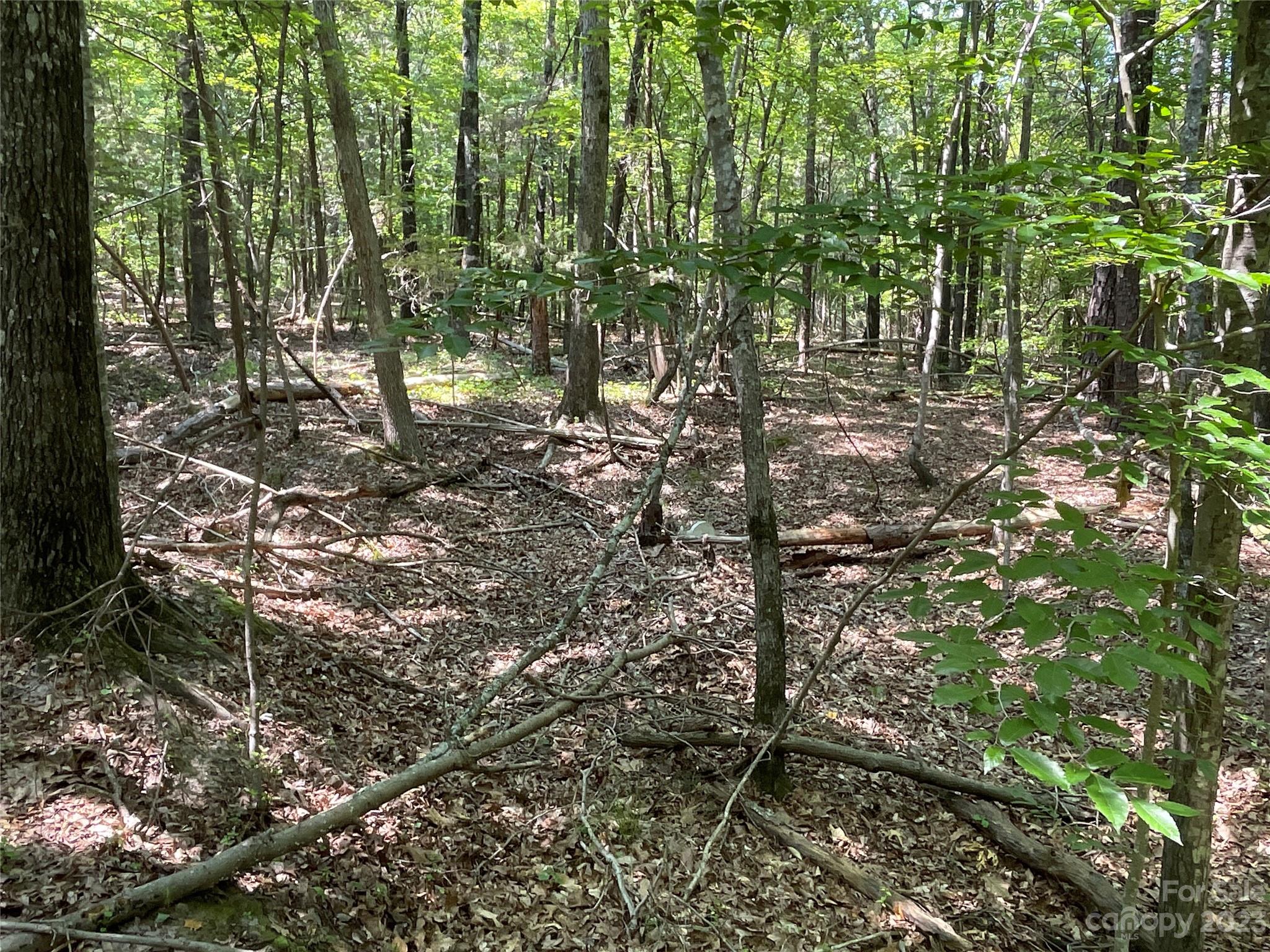 2790 Great Falls Highway Property Photo 16