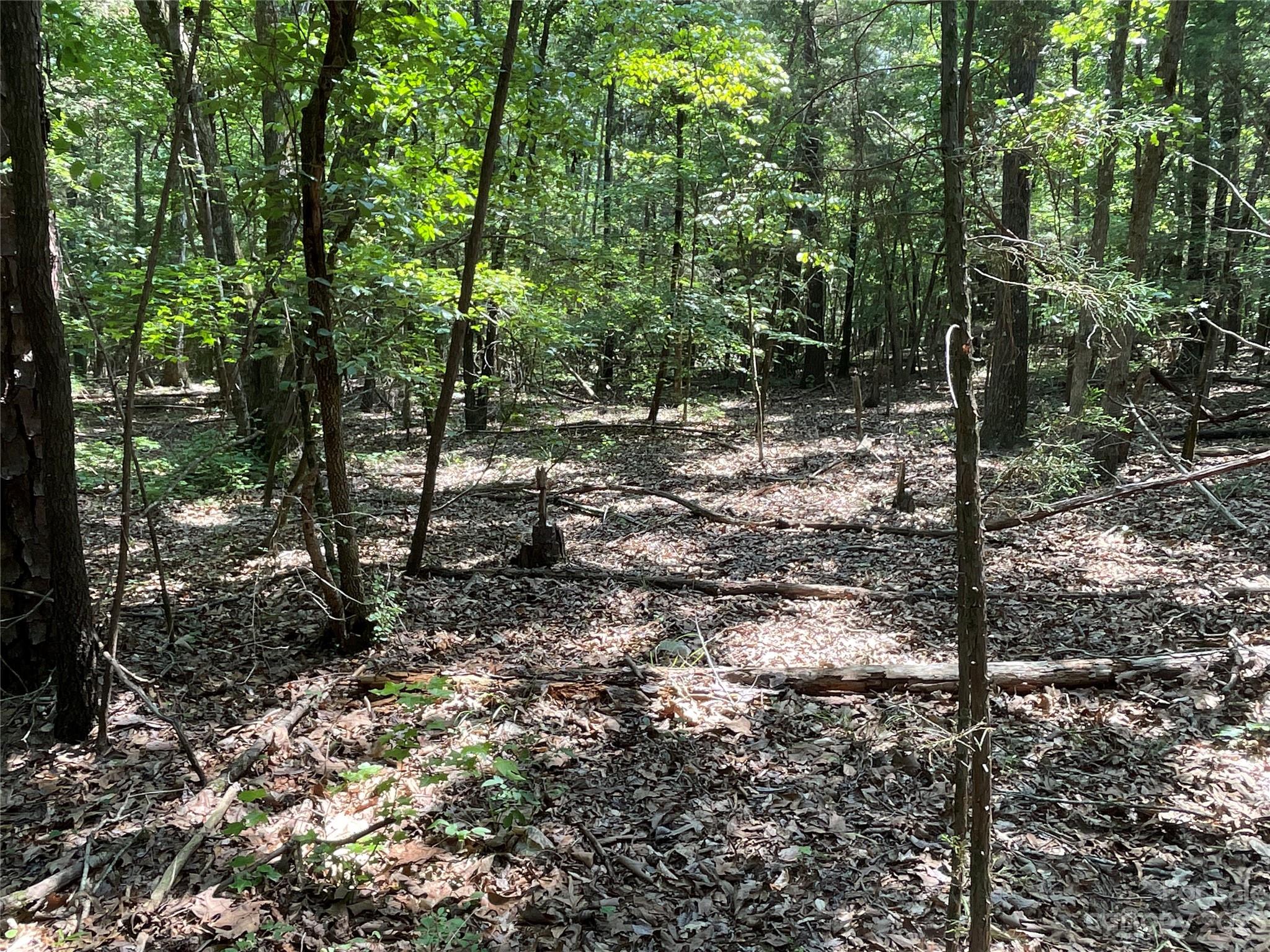 2790 Great Falls Highway Property Photo 17