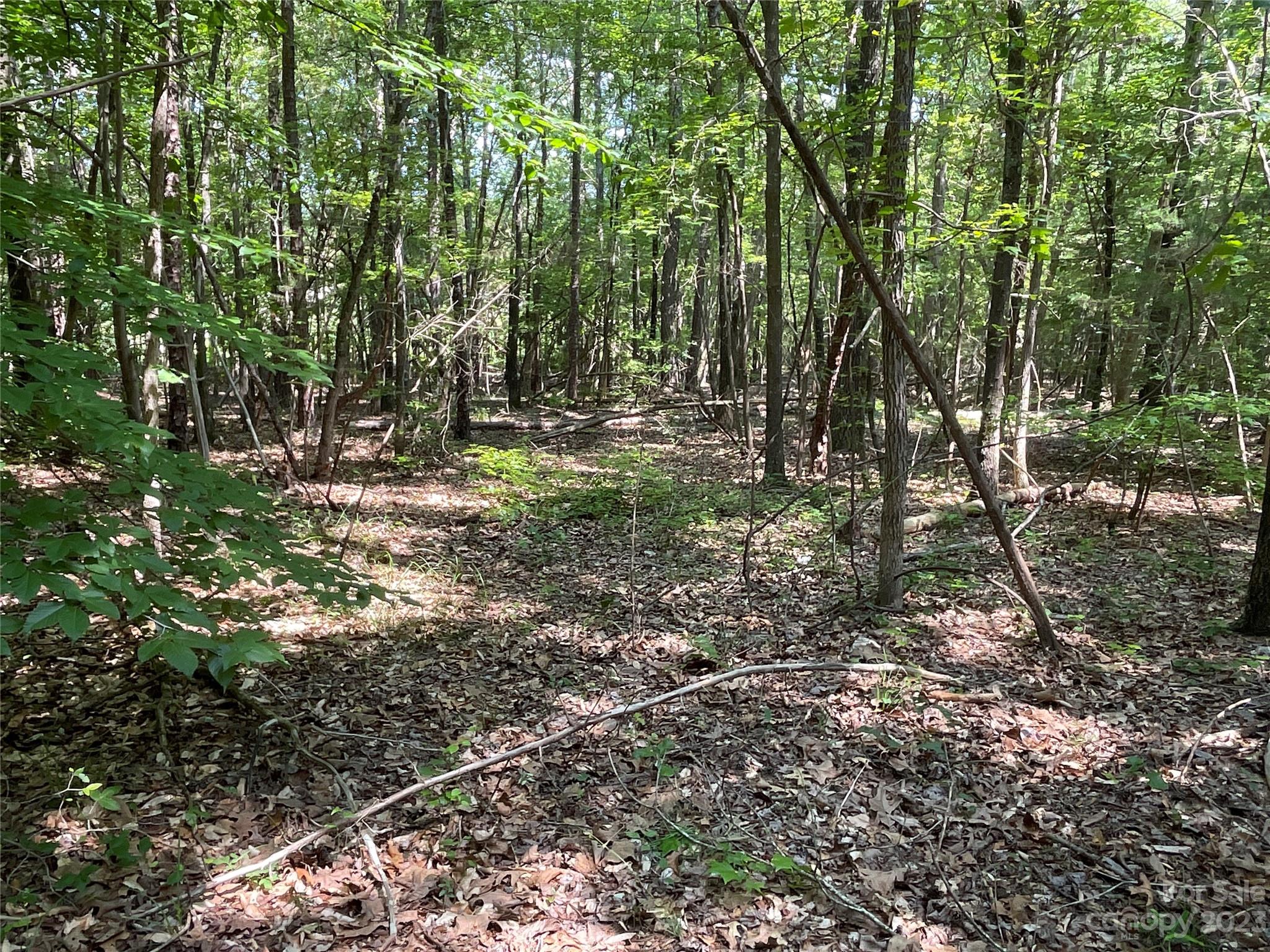 2790 Great Falls Highway Property Photo 18