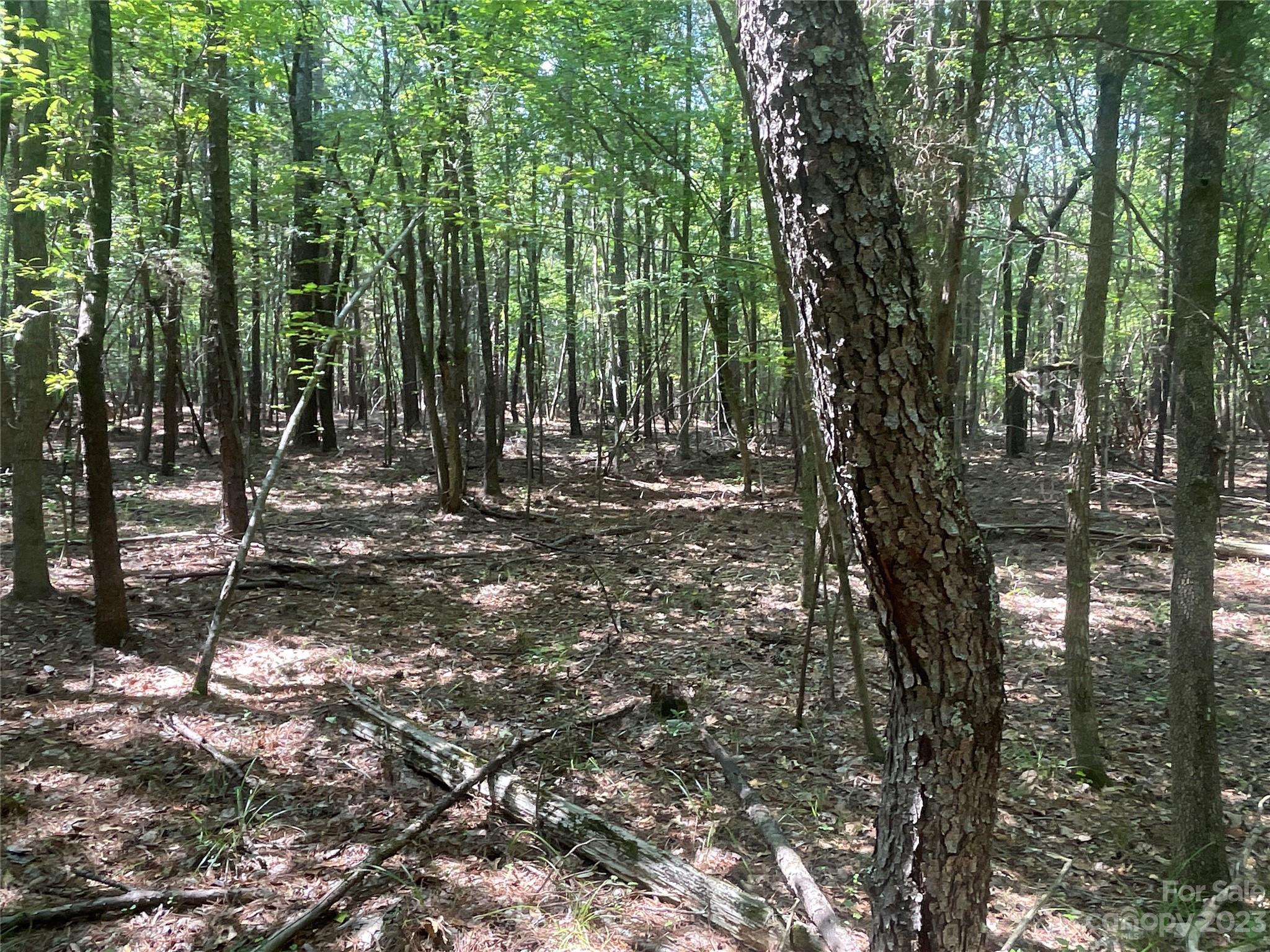 2790 Great Falls Highway Property Photo 19