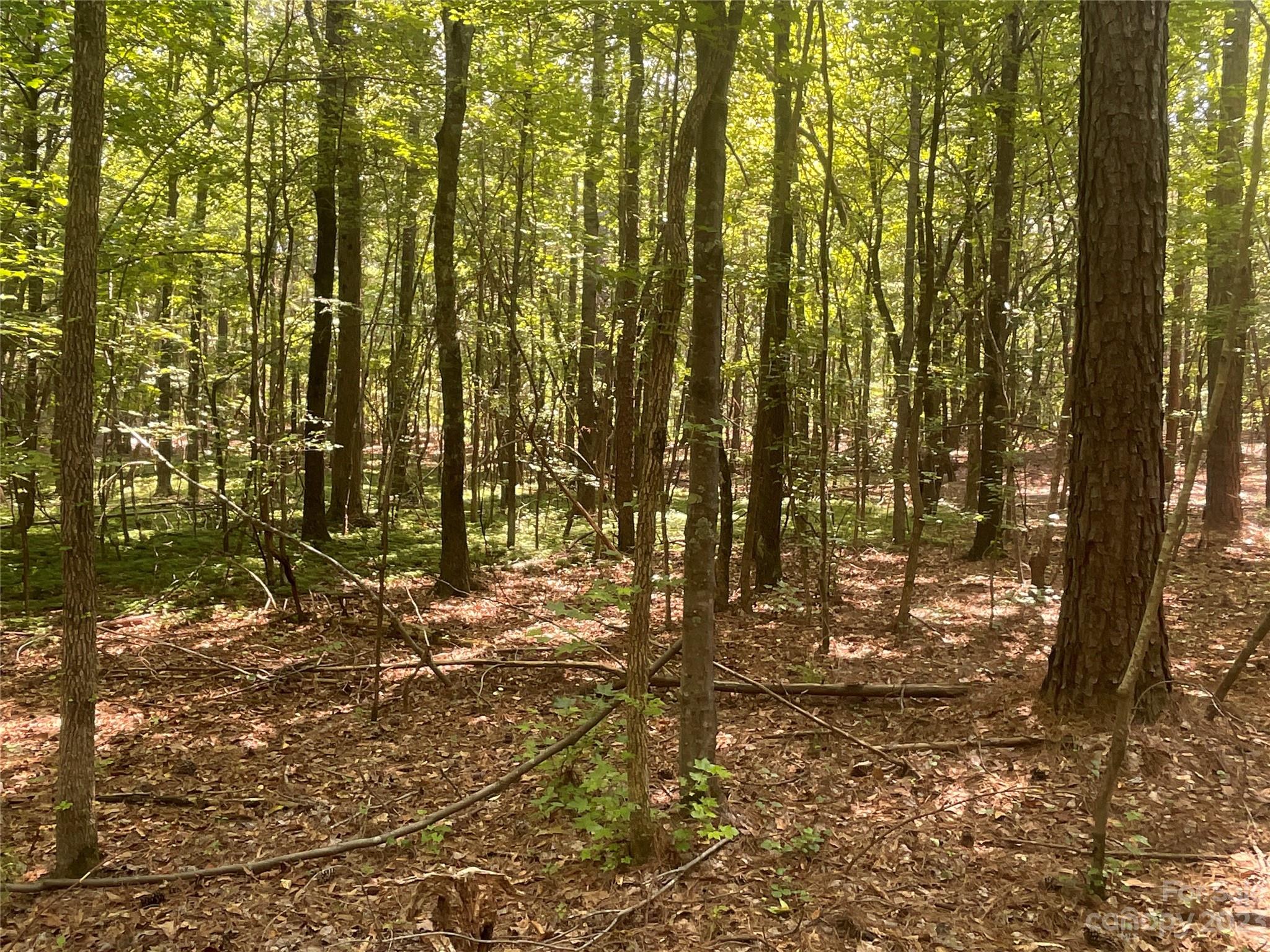 2790 Great Falls Highway Property Photo 20