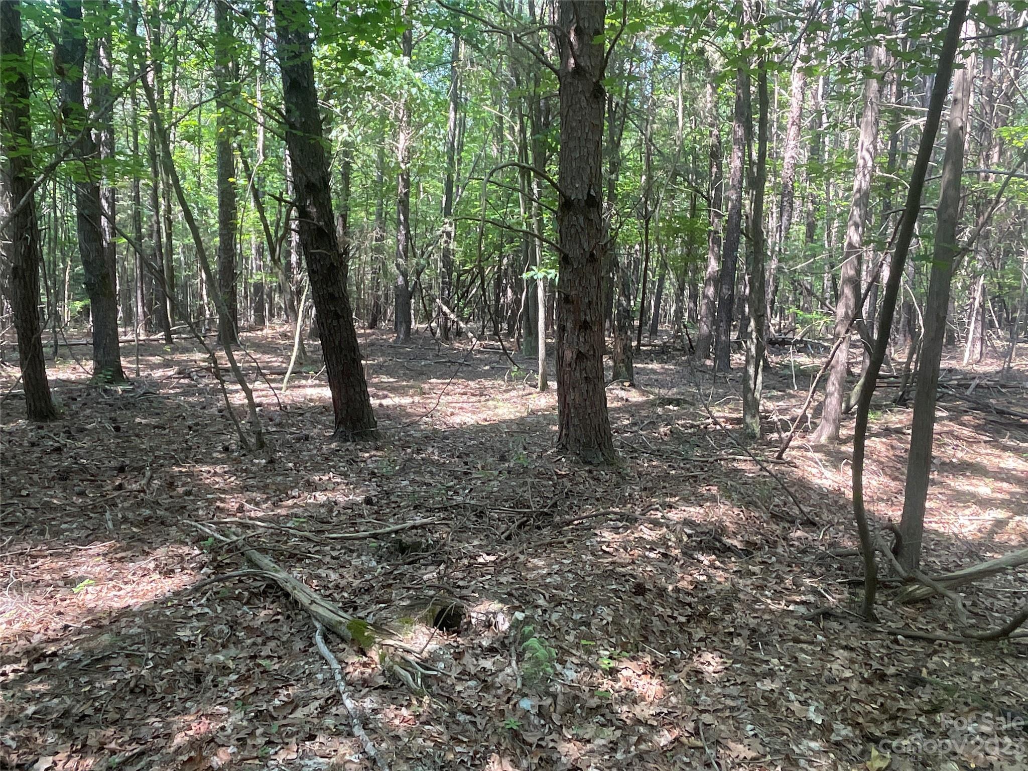 2790 Great Falls Highway Property Photo 21