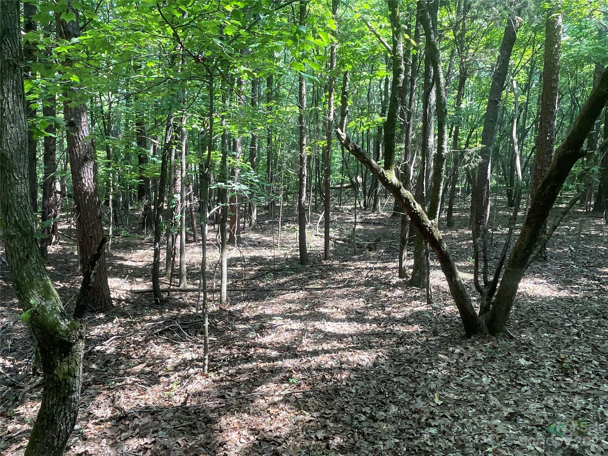2790 Great Falls Highway Property Photo 22
