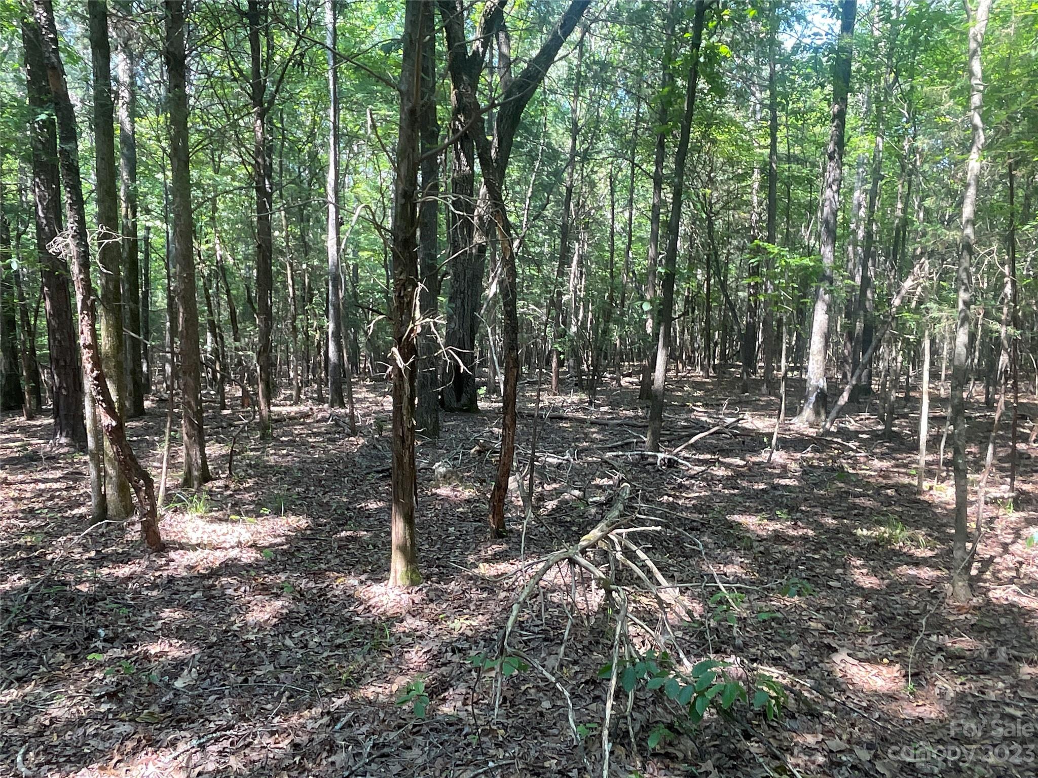 2790 Great Falls Highway Property Photo 23