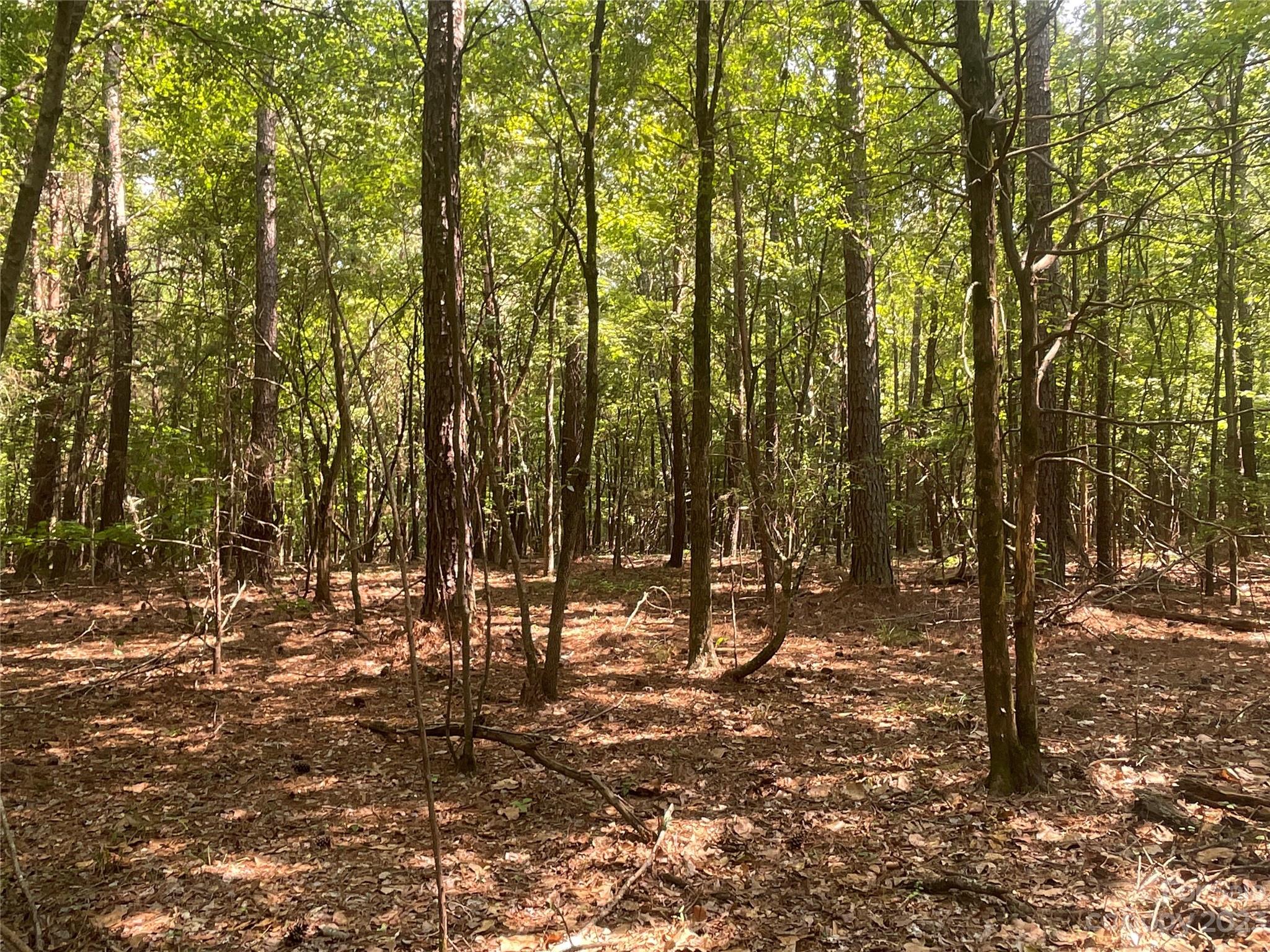 2790 Great Falls Highway Property Photo 24
