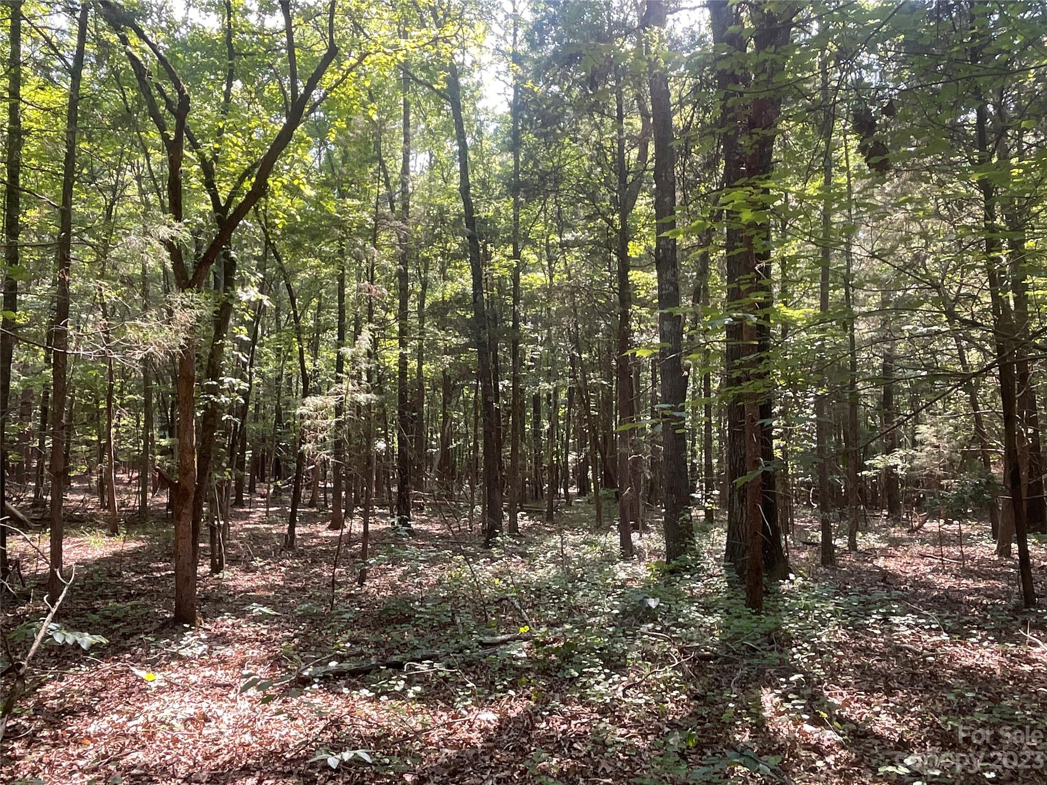 2790 Great Falls Highway Property Photo 25
