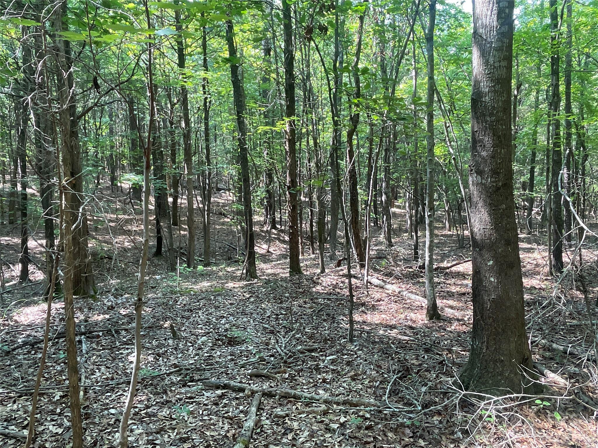 2790 Great Falls Highway Property Photo 26