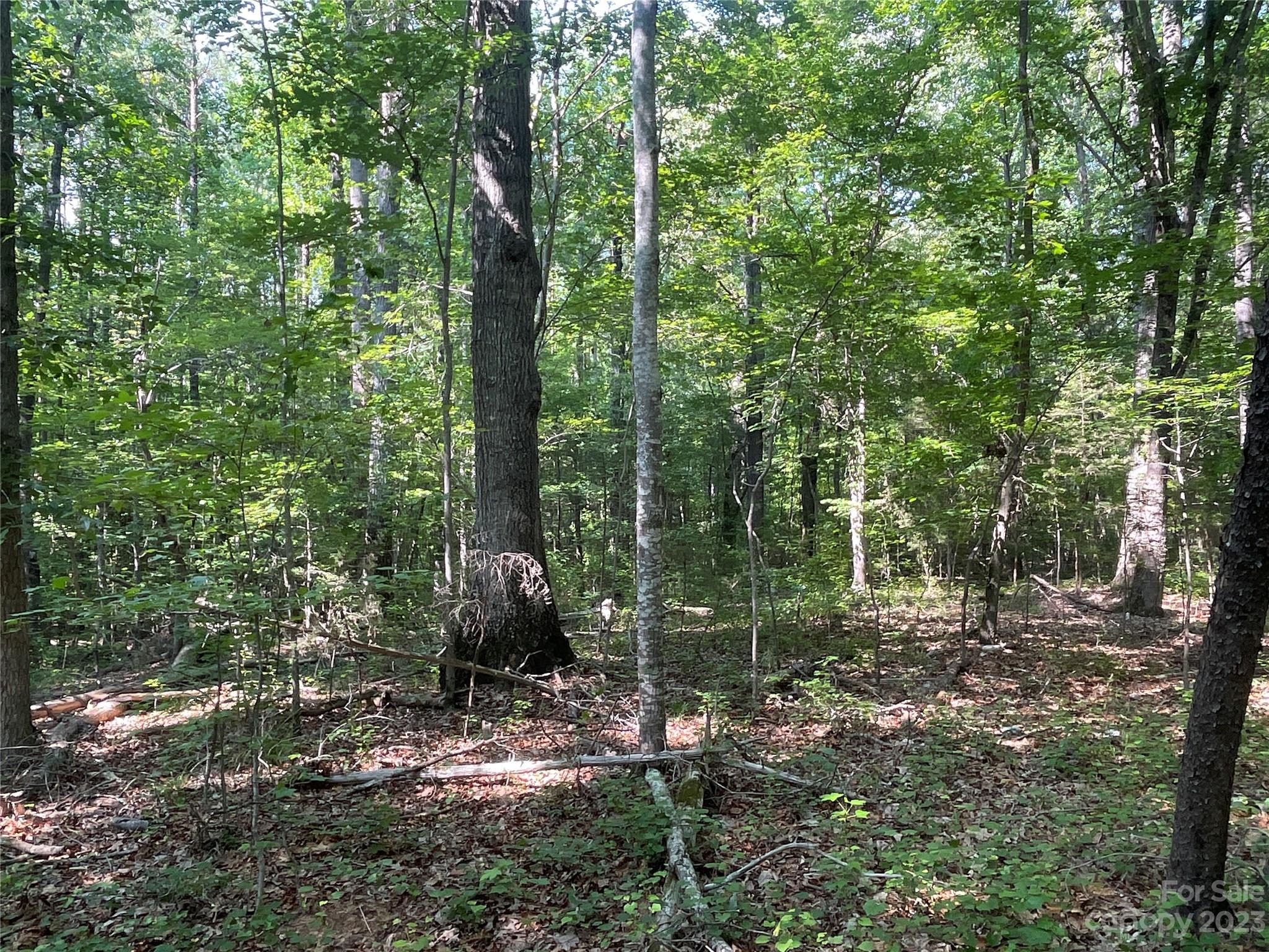 2790 Great Falls Highway Property Photo 27