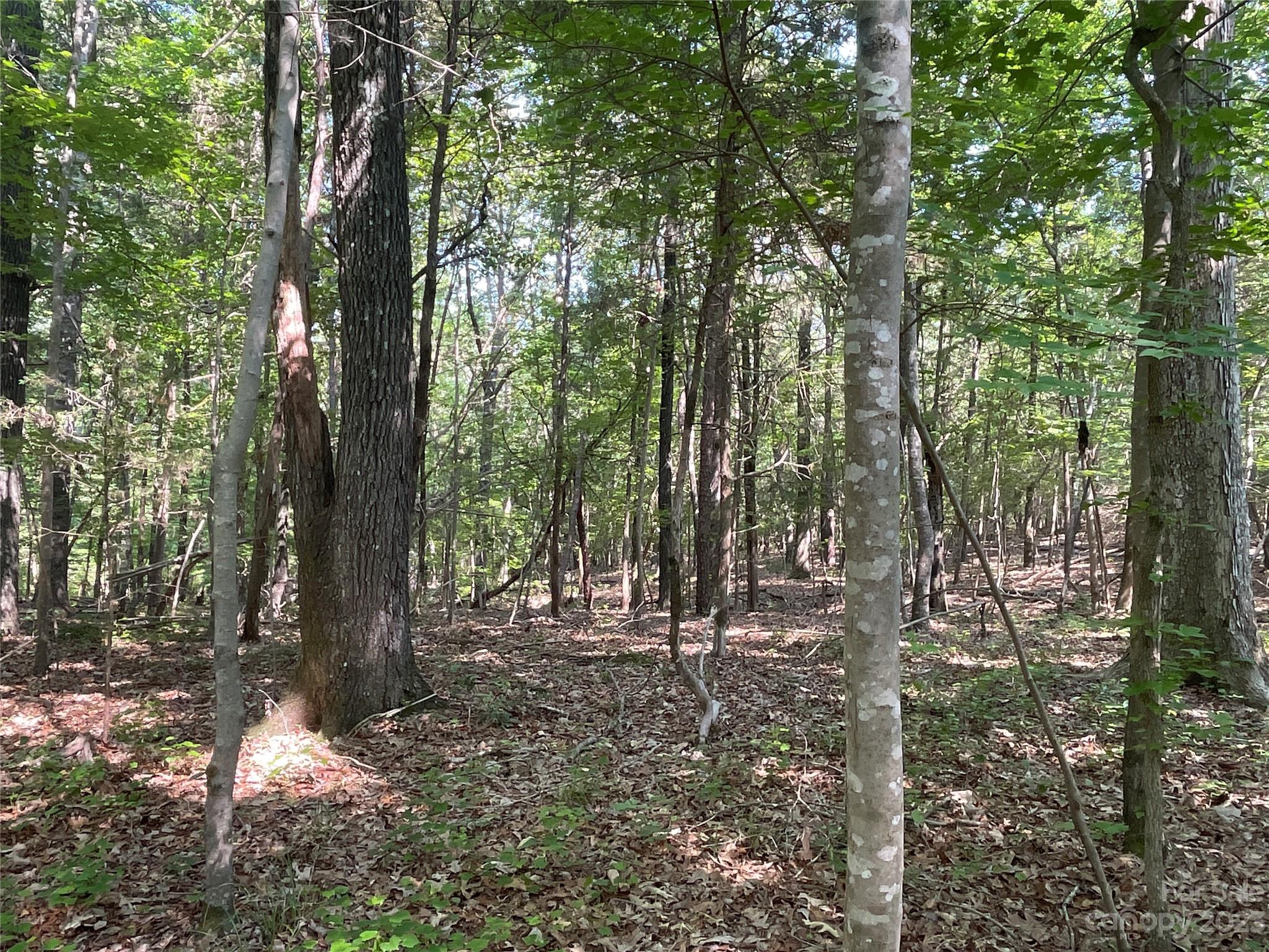 2790 Great Falls Highway Property Photo 28