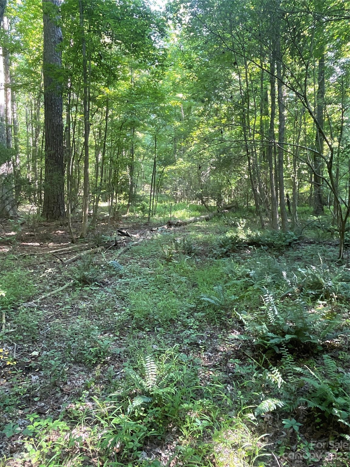 2790 Great Falls Highway Property Photo 33