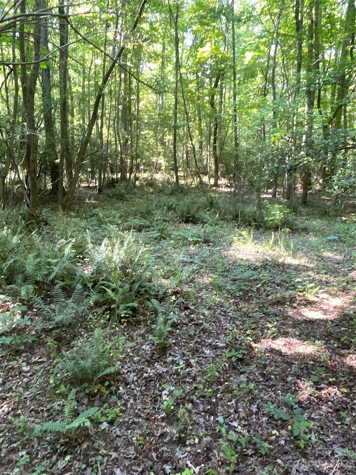 2790 Great Falls Highway Property Photo 34