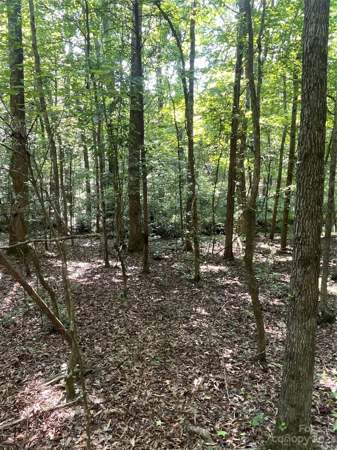 2790 Great Falls Highway Property Photo 35