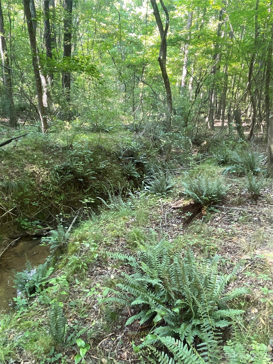 2790 Great Falls Highway Property Photo 36