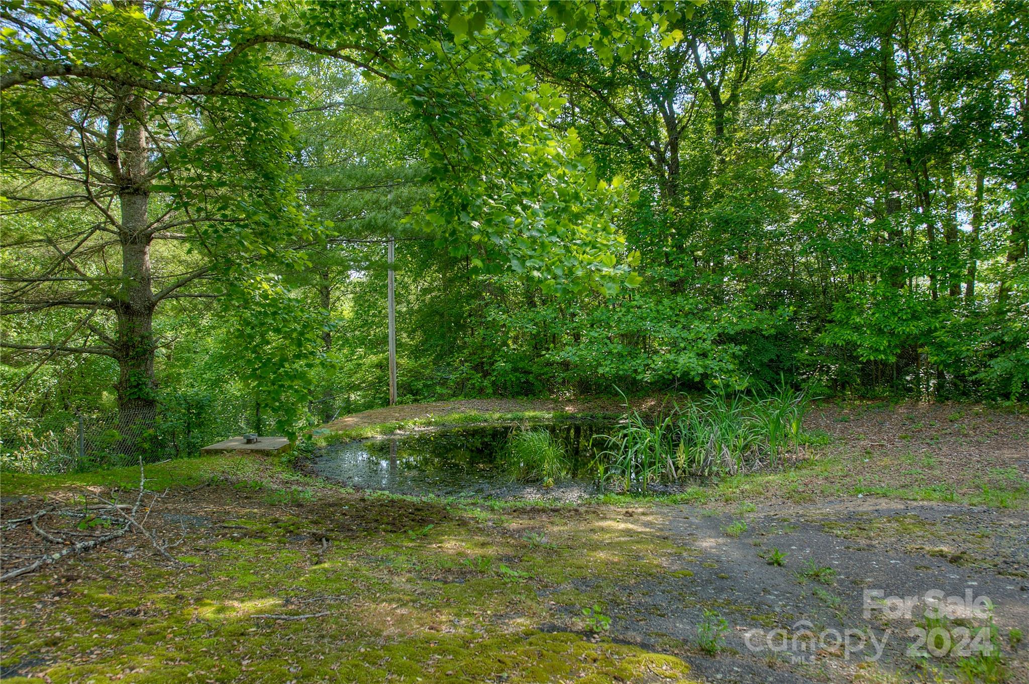 350 Henredon Road Property Photo 11