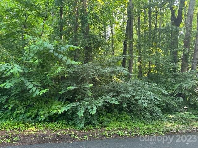 629 Saint Andrews Road Property Photo 2