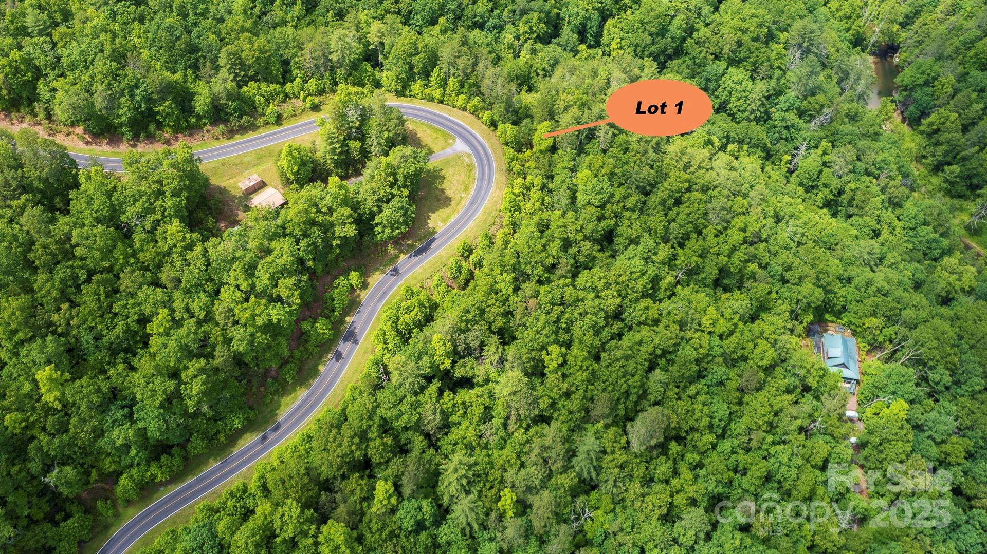 Lot 1 Reynolds Parkway Property Photo 2