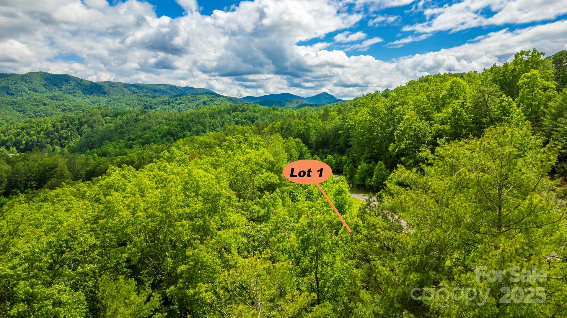 Lot 1 Reynolds Parkway Property Photo 4