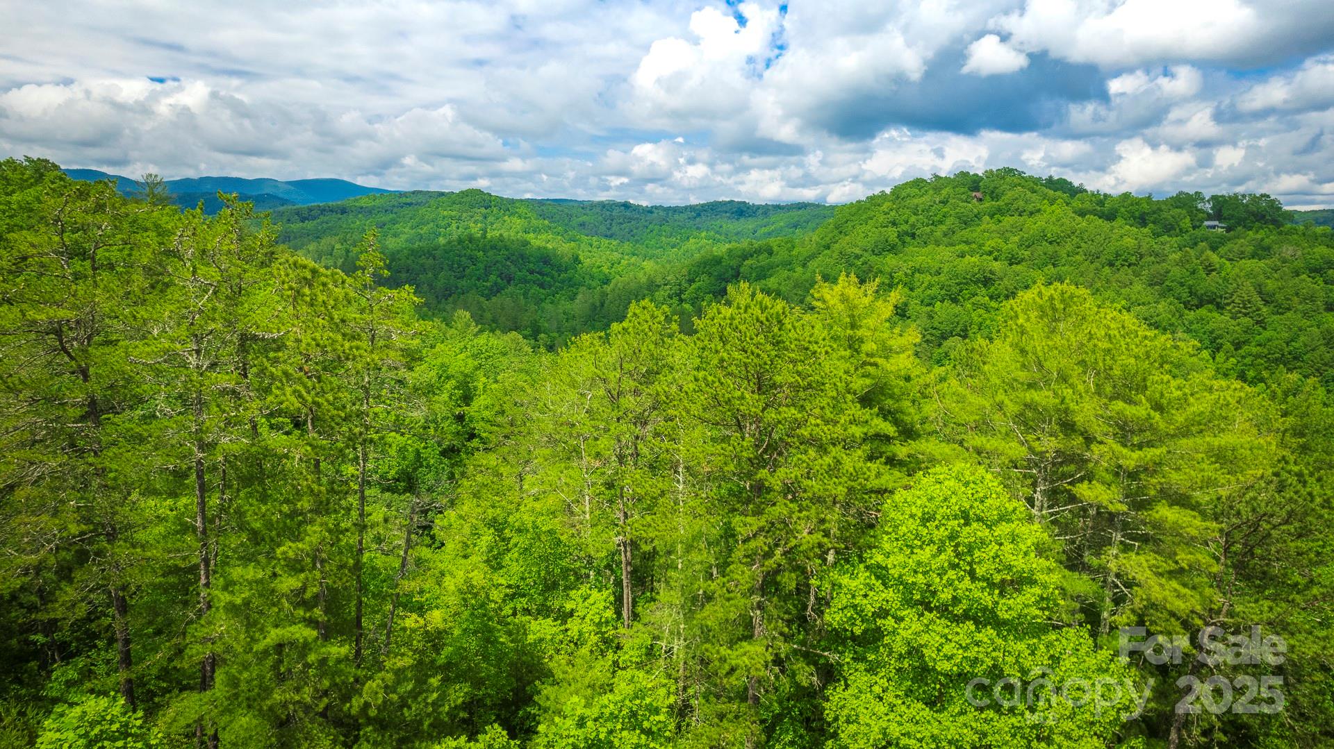 Lot 1 Reynolds Parkway Property Photo 5