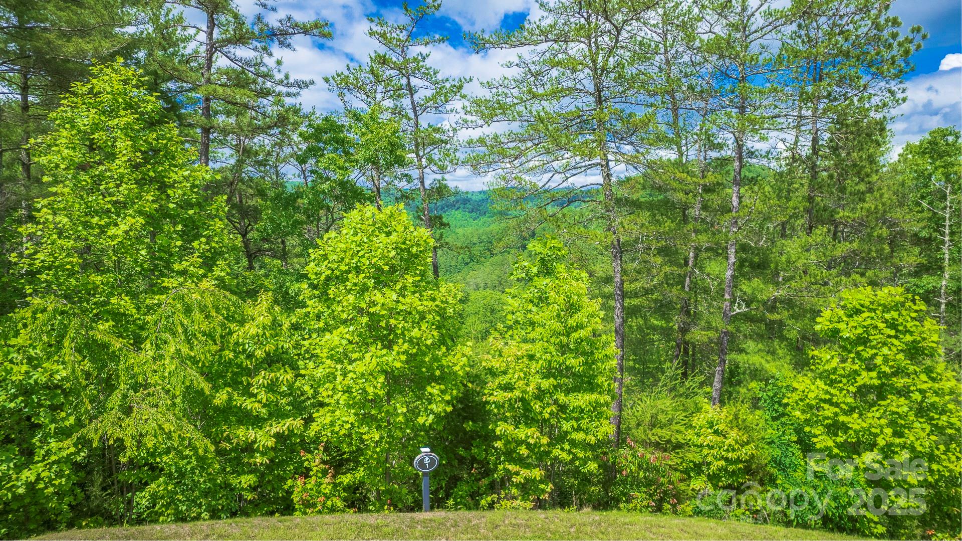 Lot 1 Reynolds Parkway Property Photo 7
