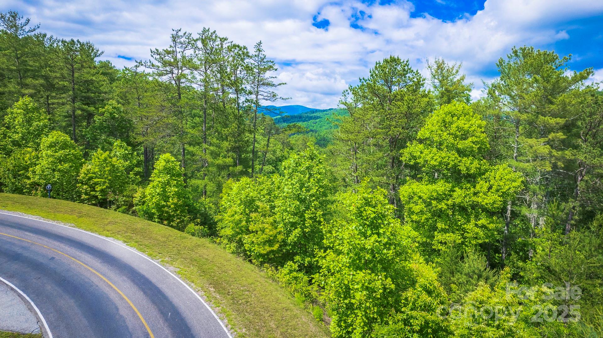 Lot 1 Reynolds Parkway Property Photo 8