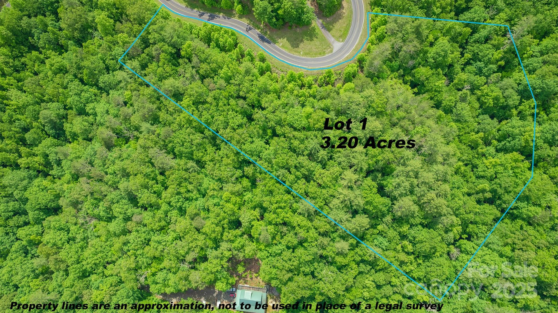 Lot 1 Reynolds Parkway Property Photo 9