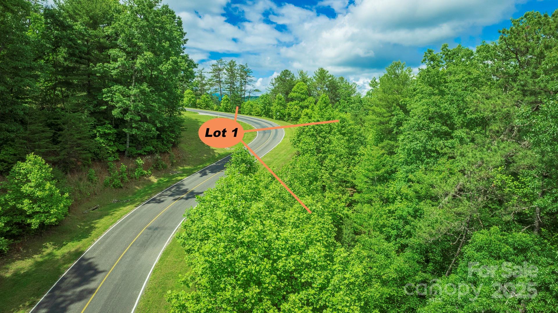 Lot 1 Reynolds Parkway Property Photo 12