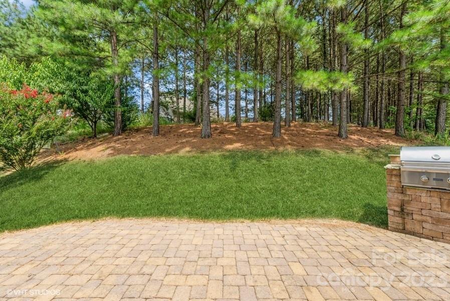 10808 Bere Island Drive Property Photo 39