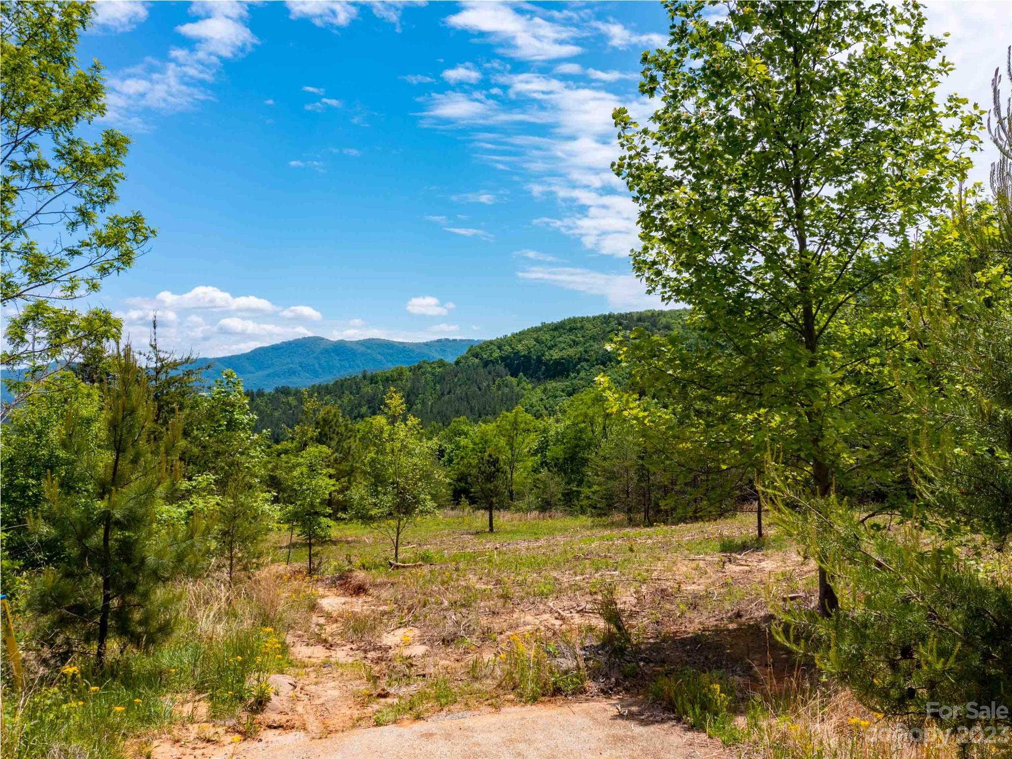 Lot 185 Harris Court Property Photo 1