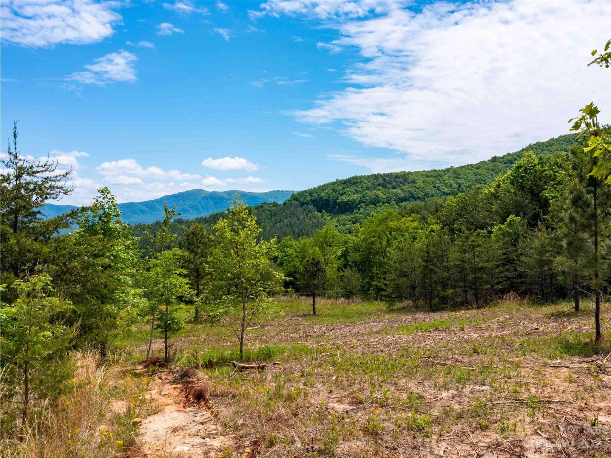 Lot 185 Harris Court Property Photo 5