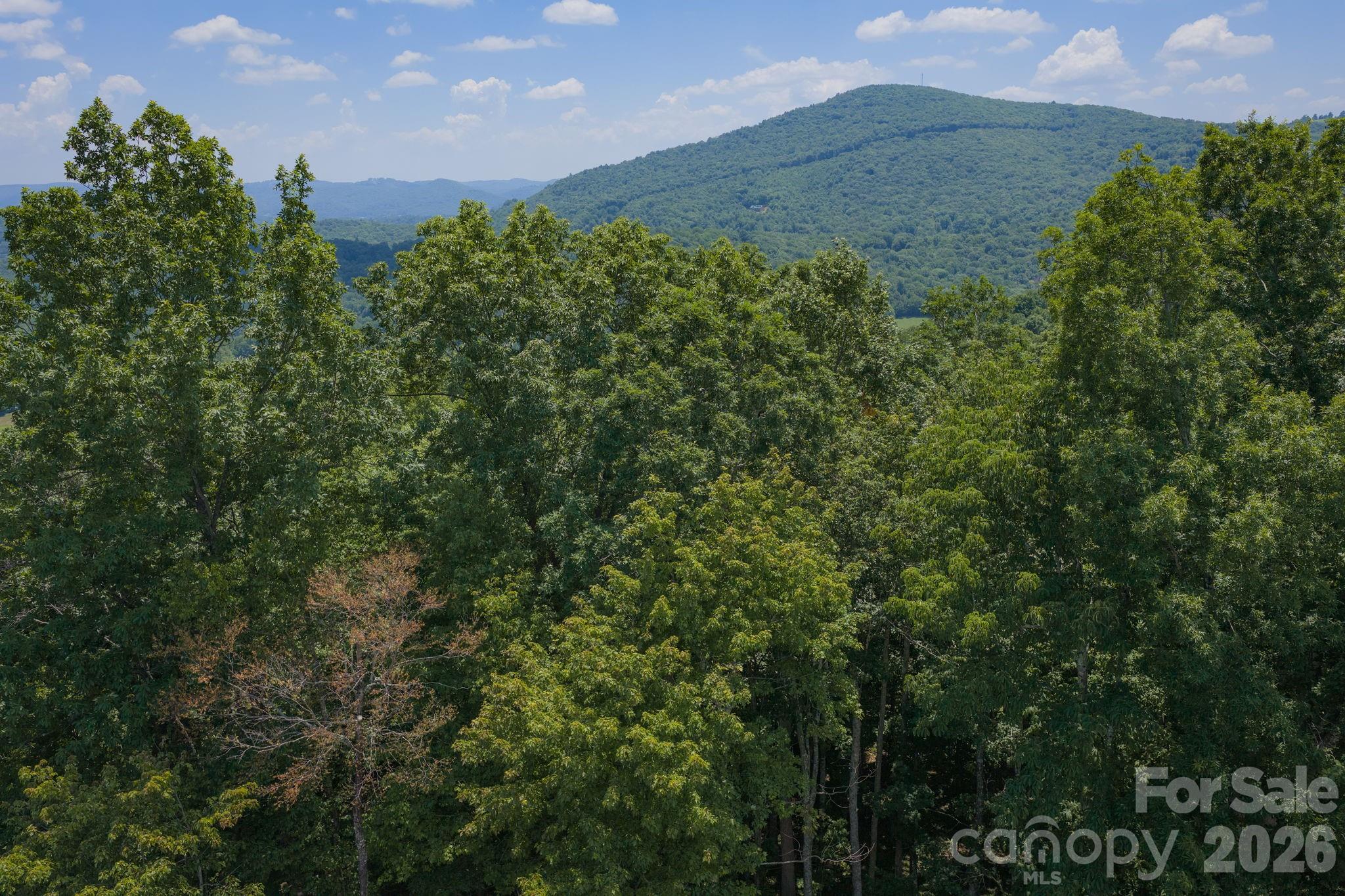 Lot 64 Poplar Forest Drive Property Photo 1