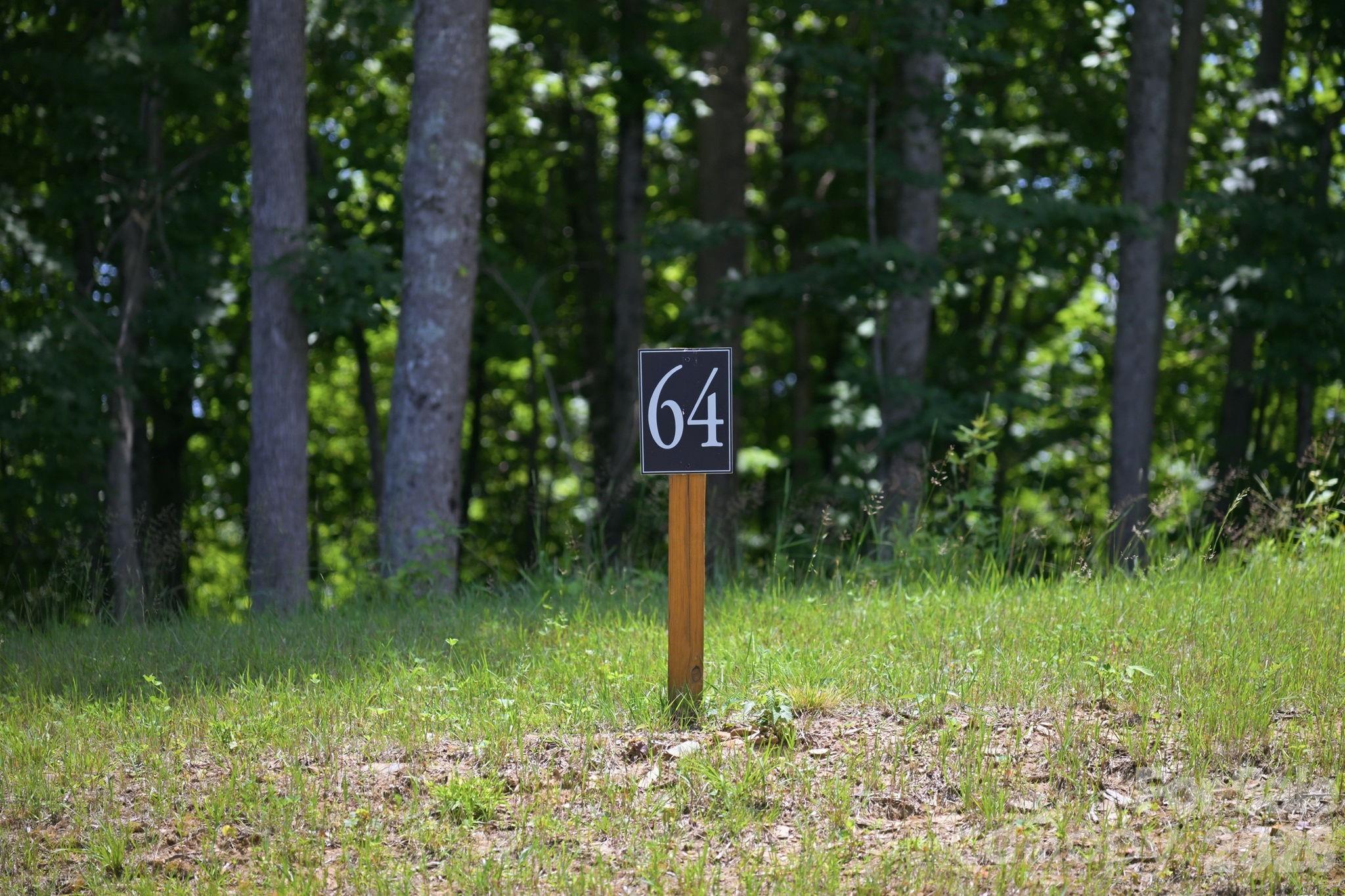 Lot 64 Poplar Forest Drive Property Photo 3