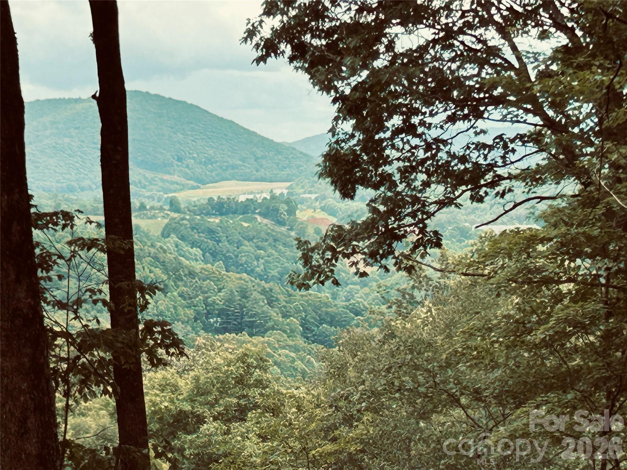 Lot 64 Poplar Forest Drive Property Photo 6