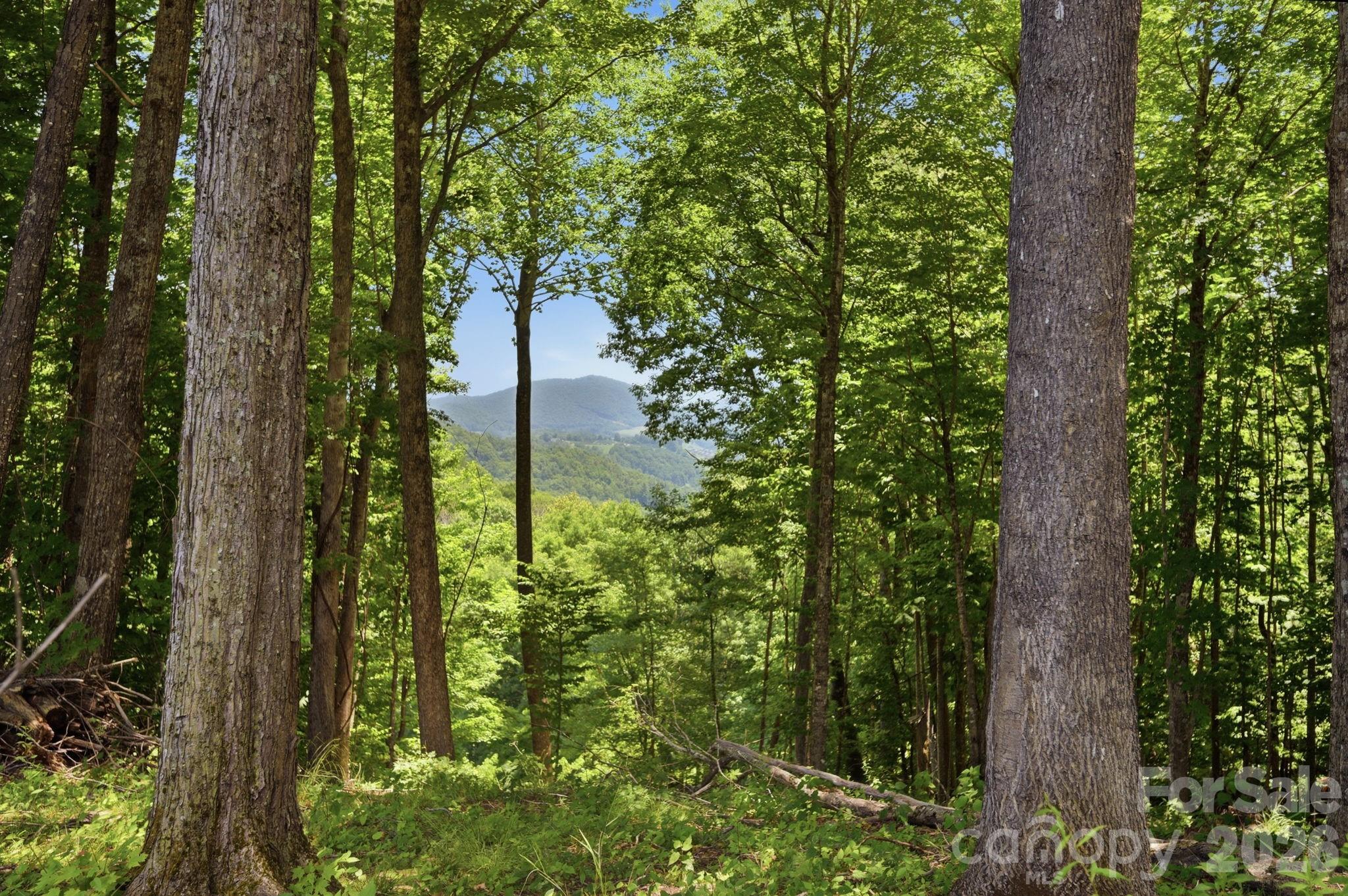 Lot 64 Poplar Forest Drive Property Photo 7