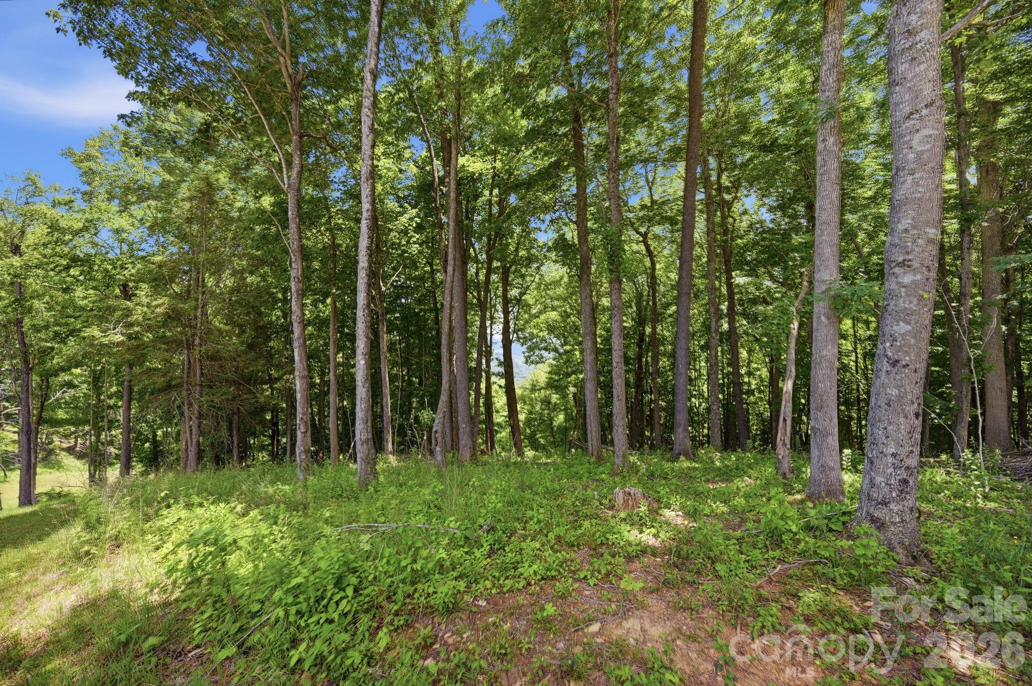 Lot 64 Poplar Forest Drive Property Photo 8