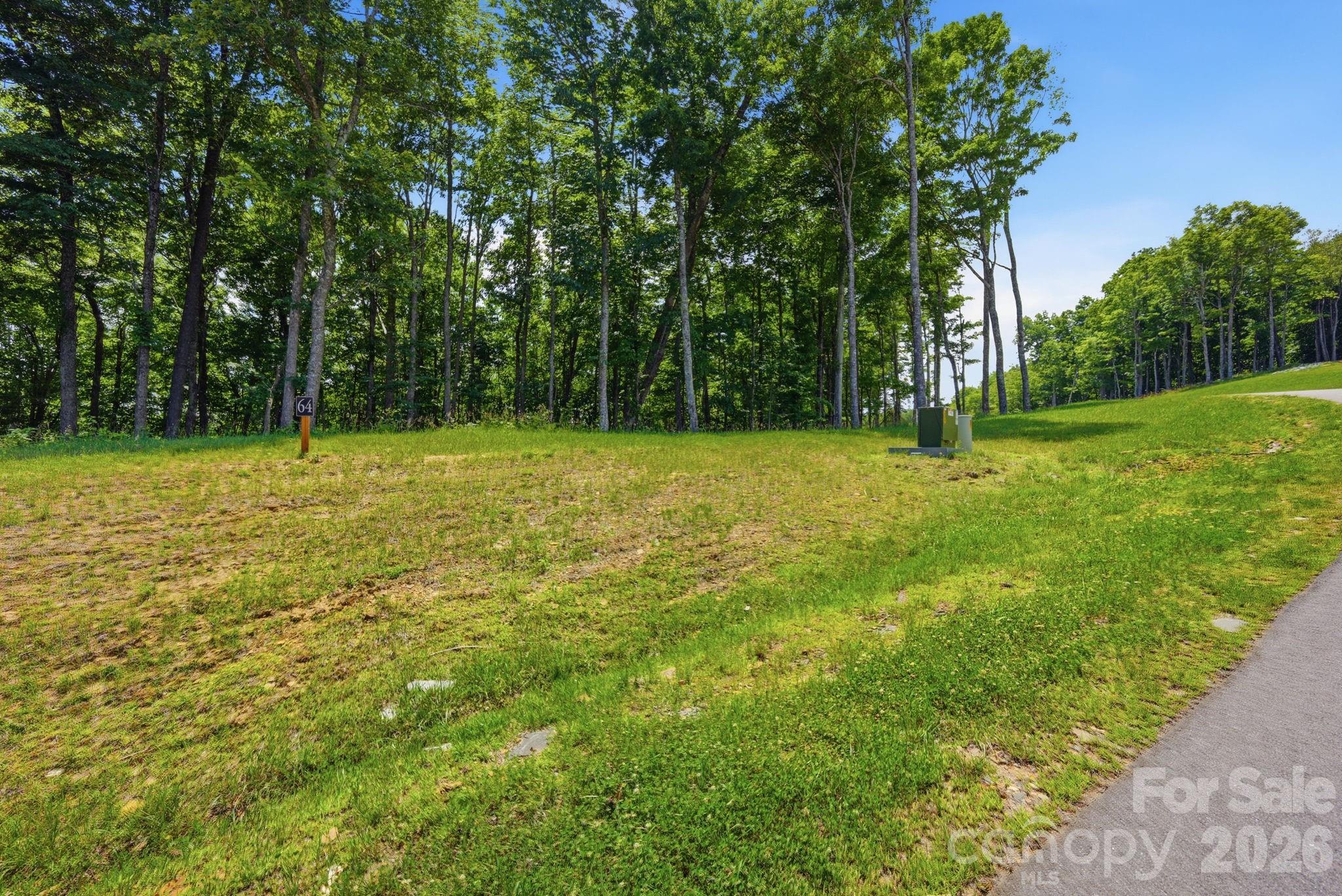 Lot 64 Poplar Forest Drive Property Photo 10