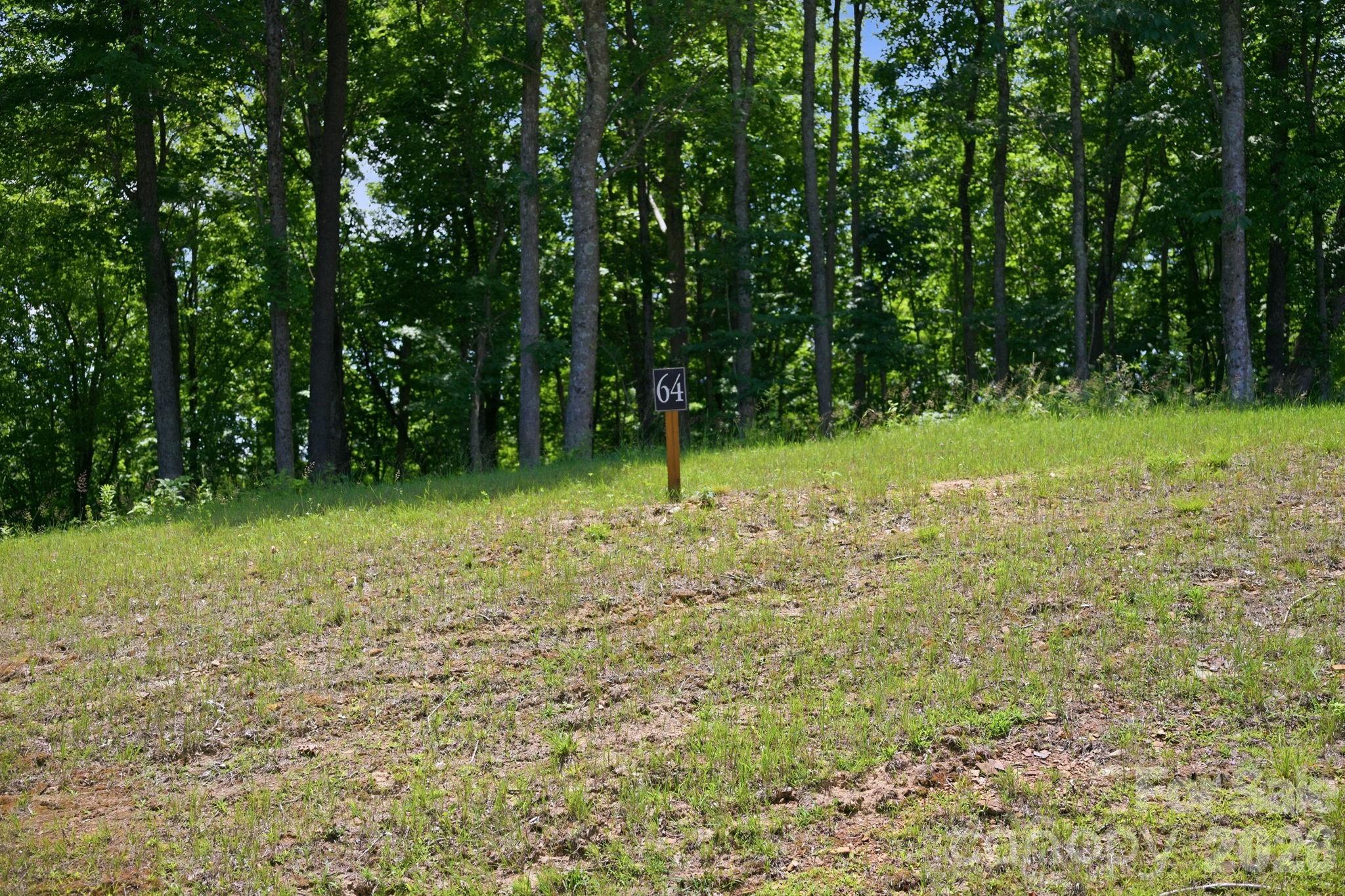 Lot 64 Poplar Forest Drive Property Photo 12