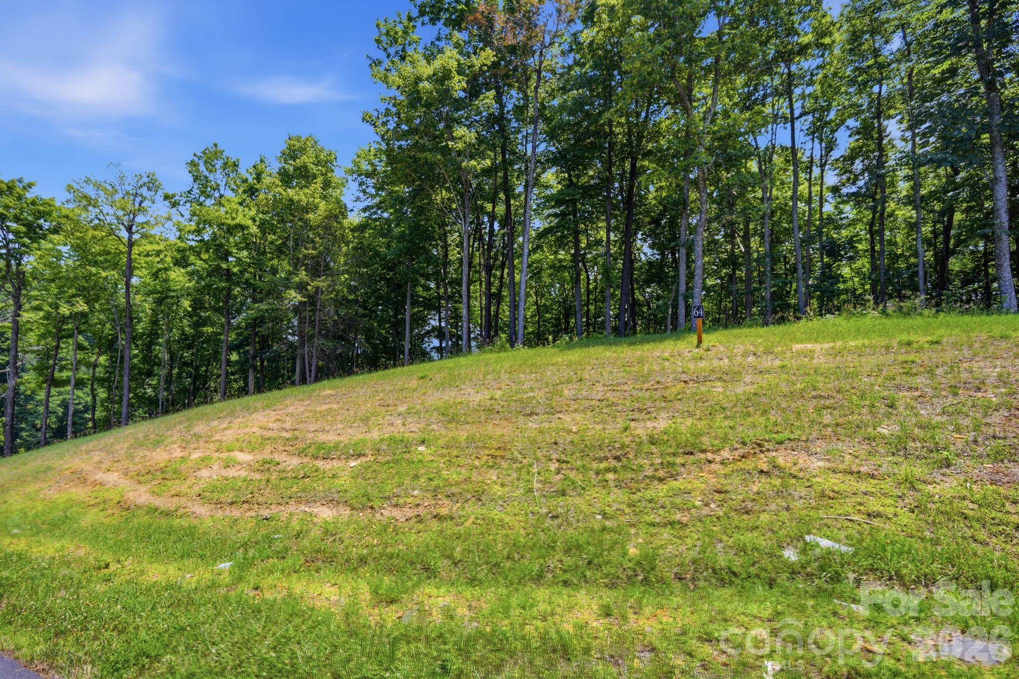 Lot 64 Poplar Forest Drive Property Photo 13