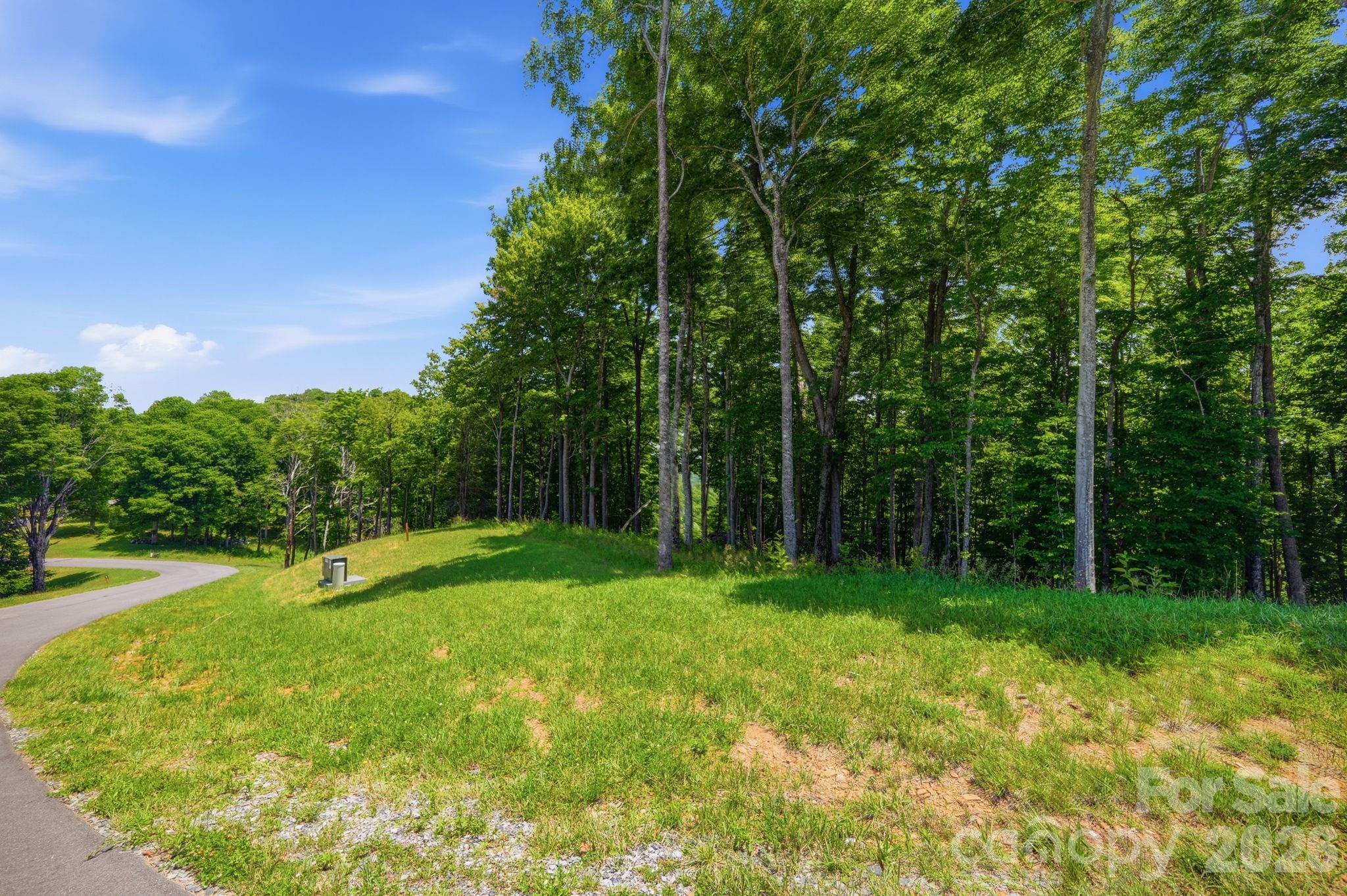 Lot 64 Poplar Forest Drive Property Photo 15