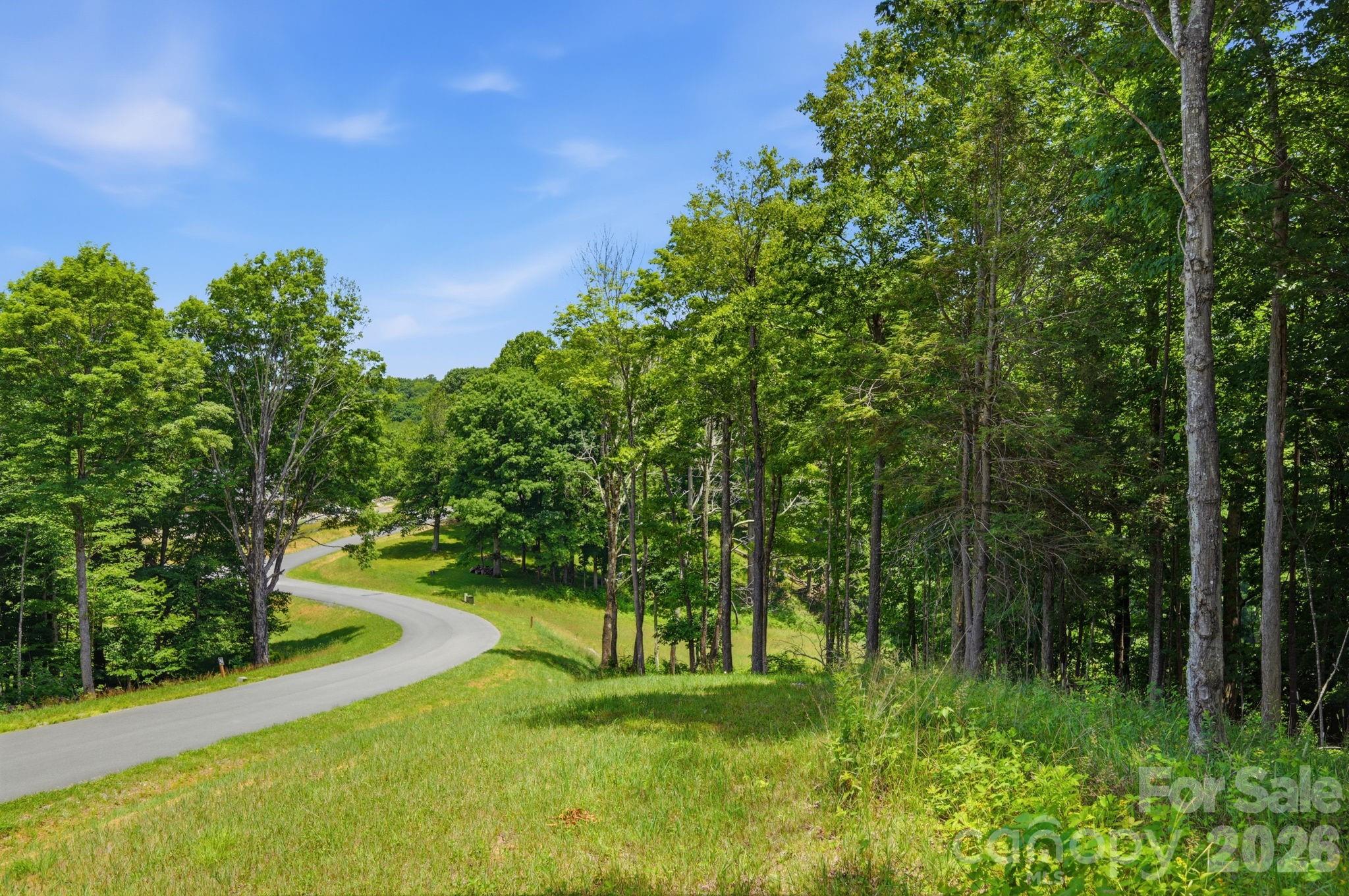 Lot 64 Poplar Forest Drive Property Photo 16