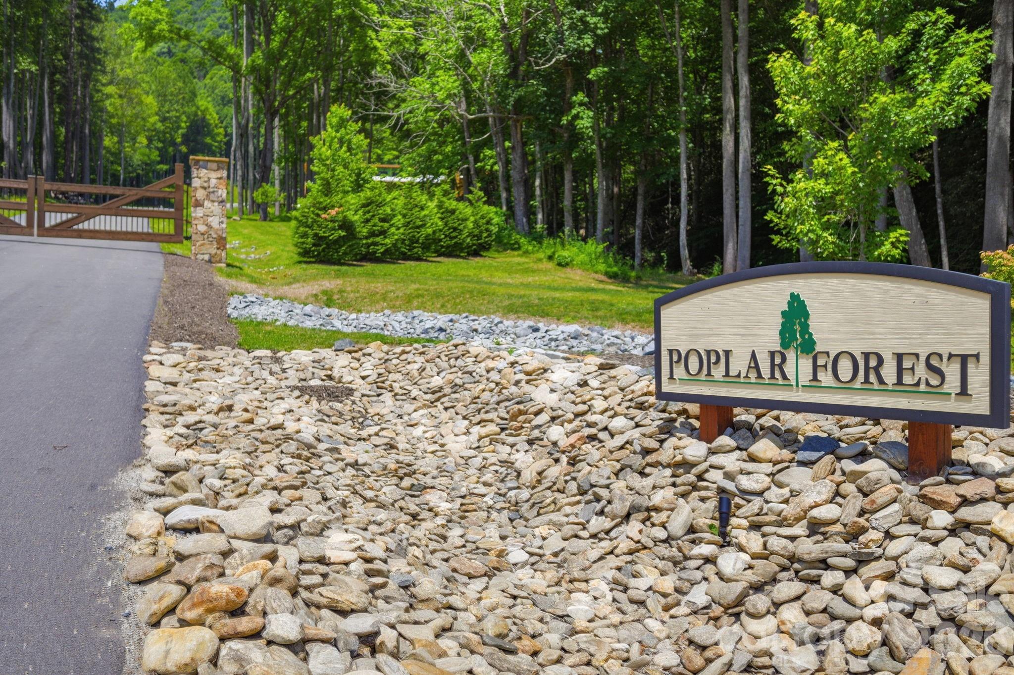 Lot 64 Poplar Forest Drive Property Photo 21