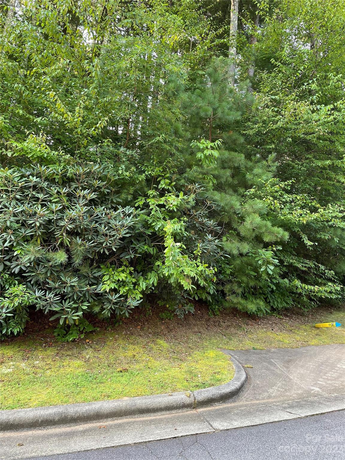 V48&49 Camptown Road V48&49 Property Photo 4
