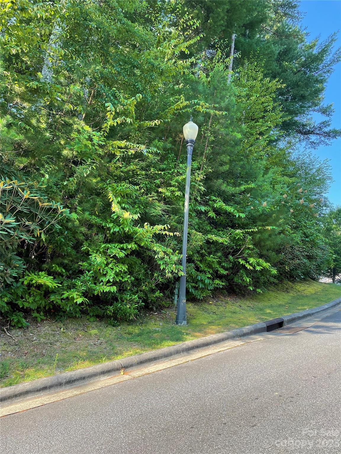 V48&49 Camptown Road V48&49 Property Photo 8