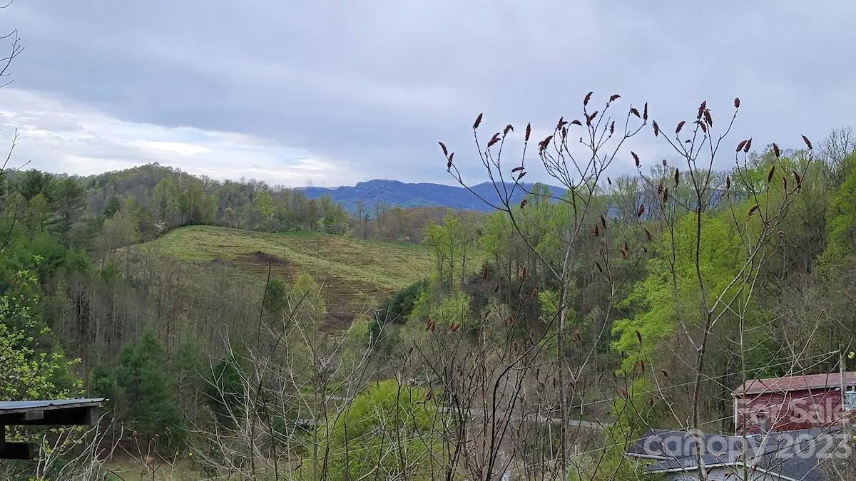 239 Elk Shoals Creek Road Property Photo 22