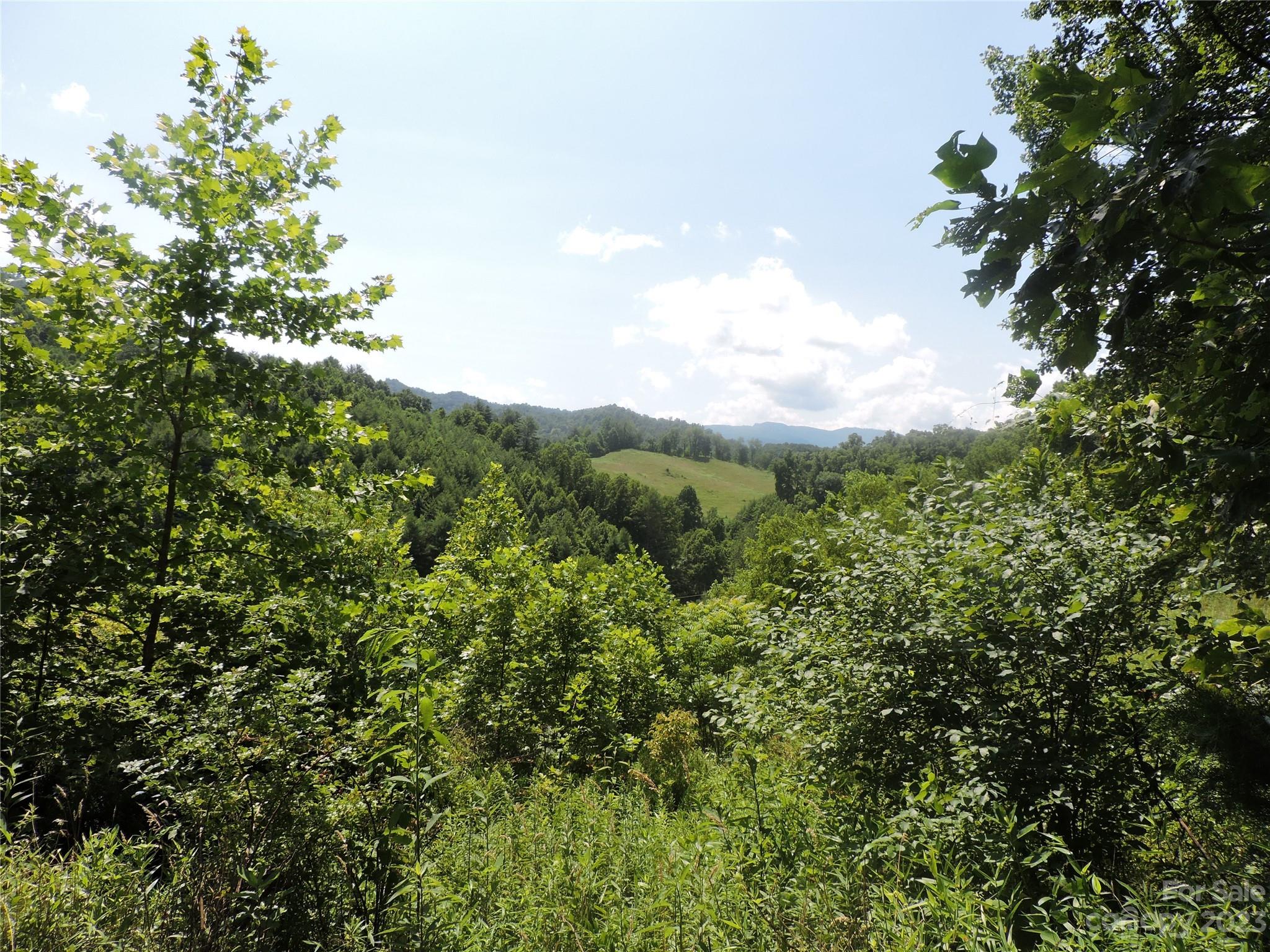 239 Elk Shoals Creek Road Property Photo 23