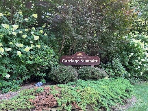 Lot #2442 Carriage Summit Way Property Photo 1