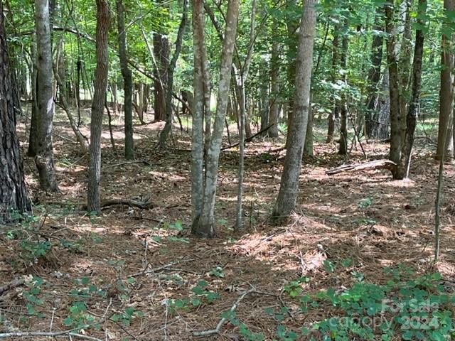 0000 Stillwater Drive Property Photo 11