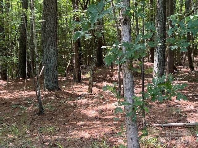 0000 Stillwater Drive Property Photo 14